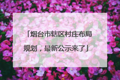 烟台市辖区村庄布局规划，最新公示来了