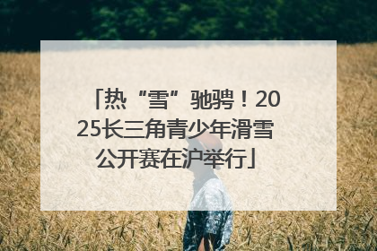 热“雪”驰骋！2025长三角青少年滑雪公开赛在沪举行