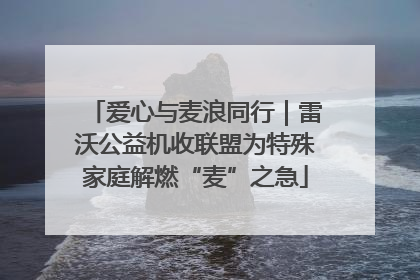 爱心与麦浪同行｜雷沃公益机收联盟为特殊家庭解燃“麦”之急