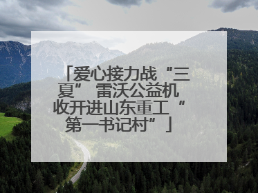爱心接力战“三夏” 雷沃公益机收开进山东重工“第一书记村”