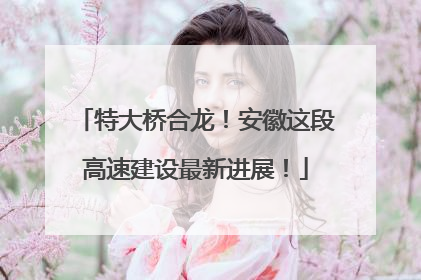 特大桥合龙！安徽这段高速建设最新进展！