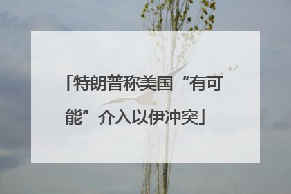 特朗普称美国“有可能”介入以伊冲突