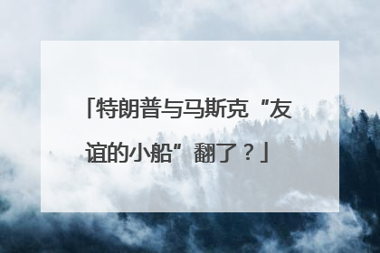 特朗普与马斯克“友谊的小船”翻了？