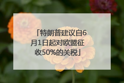 特朗普建议自6月1日起对欧盟征收50%的关税