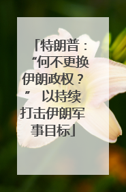 特朗普：“何不更换伊朗政权？” 以持续打击伊朗军事目标