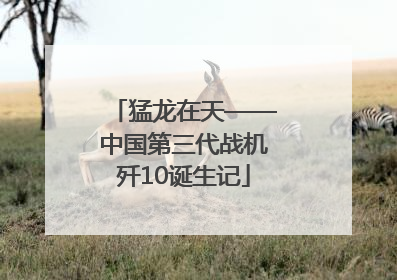 猛龙在天——中国第三代战机歼10诞生记