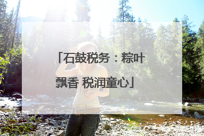 石鼓税务：粽叶飘香 税润童心