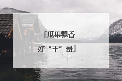 瓜果飘香 好“丰”景