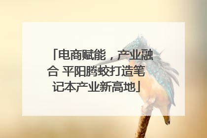 电商赋能，产业融合 平阳腾蛟打造笔记本产业新高地