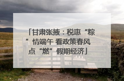 甘肃张掖：税惠“粽”情端午 看政策春风点“燃”假期经济