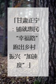 甘肃正宁：铺就惠民“幸福路” 跑出乡村振兴“加速度”