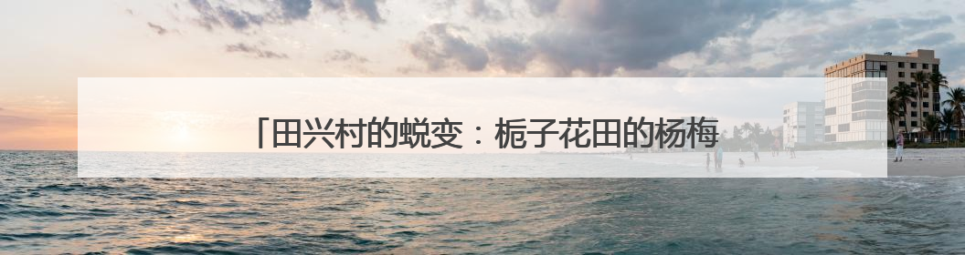 田兴村的蜕变：栀子花田的杨梅熟啦 采摘节让乡村热闹起来