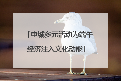 申城多元活动为端午经济注入文化动能
