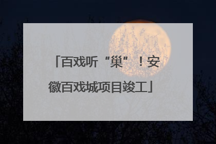 百戏听“巢”！安徽百戏城项目竣工