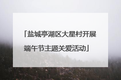 盐城亭湖区大星村开展端午节主题关爱活动