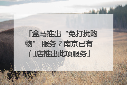 盒马推出“免打扰购物” 服务？南京已有门店推出此项服务