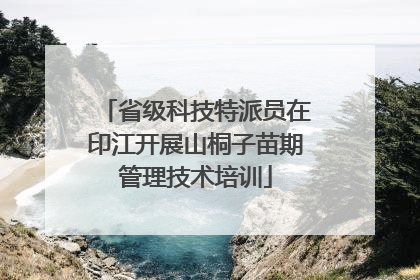 省级科技特派员在印江开展山桐子苗期管理技术培训