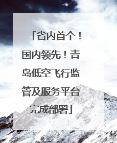 省内首个！国内领先！青岛低空飞行监管及服务平台完成部署