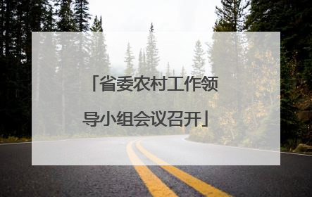 省委农村工作领导小组会议召开