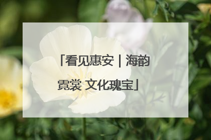 看见惠安｜海韵霓裳 文化瑰宝