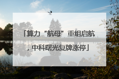算力“航母”重组启航，中科曙光复牌涨停