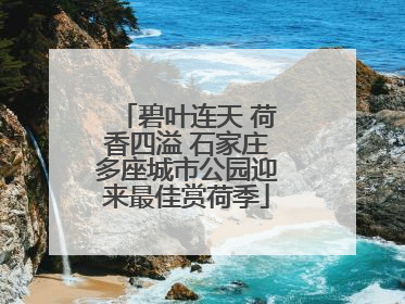 碧叶连天 荷香四溢 石家庄多座城市公园迎来最佳赏荷季
