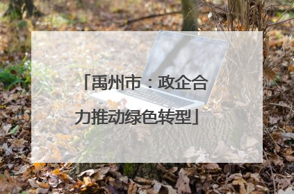 禹州市：政企合力推动绿色转型