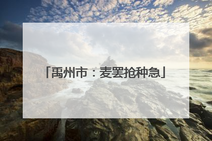 禹州市：麦罢抢种急