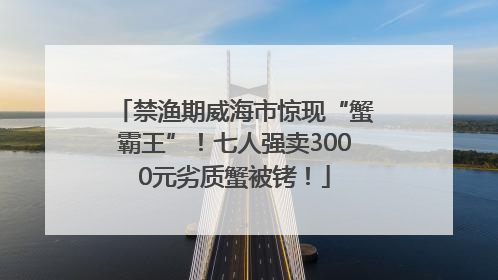 禁渔期威海市惊现“蟹霸王”！七人强卖3000元劣质蟹被铐！