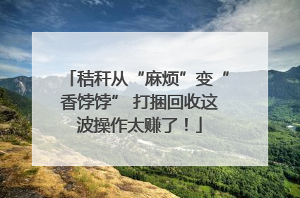 秸秆从“麻烦”变“香饽饽” 打捆回收这波操作太赚了！