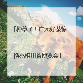 种草了！广元好茶惊艳亮相川茶博览会