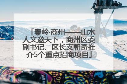 秦岭·商州——山水人文邀天下，商州区委副书记、区长支朝奇推介5个重点招商项目