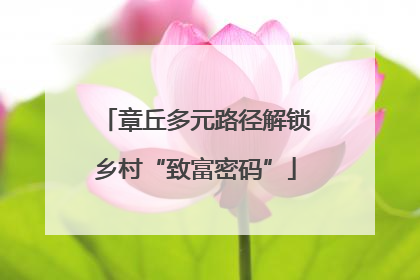章丘多元路径解锁乡村“致富密码”