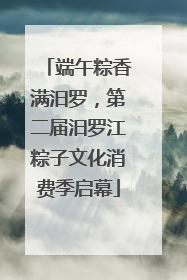 端午粽香满汨罗，第二届汨罗江粽子文化消费季启幕