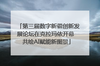 第三届数字新疆创新发展论坛在克拉玛依开幕 共绘AI赋能新图景