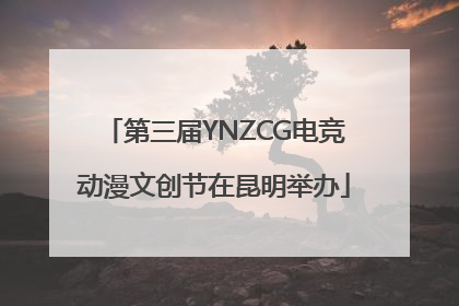 第三届YNZCG电竞动漫文创节在昆明举办