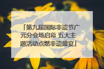 第九届国际非遗节广元分会场启幕 五大主题活动点燃非遗盛宴