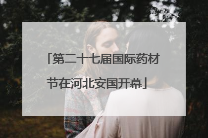 第二十七届国际药材节在河北安国开幕