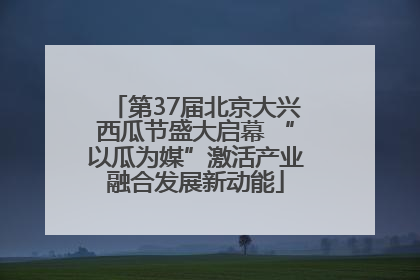 第37届北京大兴西瓜节盛大启幕 “以瓜为媒”激活产业融合发展新动能