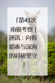 第41次南极考察｜通讯：向着暗夜与深海的科研坚守