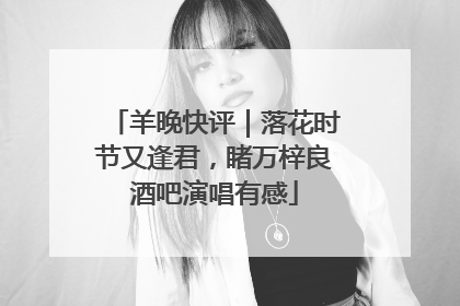 羊晚快评｜落花时节又逢君，睹万梓良酒吧演唱有感