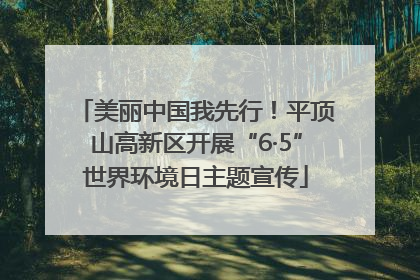 美丽中国我先行！平顶山高新区开展“6·5”世界环境日主题宣传
