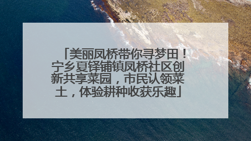美丽凤桥带你寻梦田！宁乡夏铎铺镇凤桥社区创新共享菜园，市民认领菜土，体验耕种收获乐趣