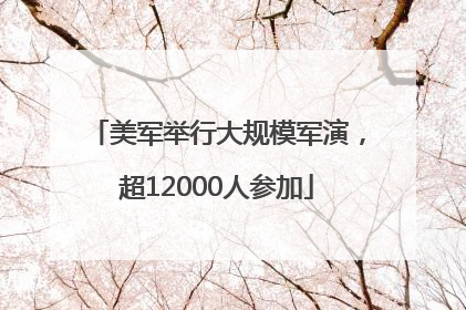 美军举行大规模军演，超12000人参加
