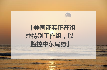 美国证实正在组建特别工作组，以监控中东局势