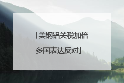 美钢铝关税加倍 多国表达反对