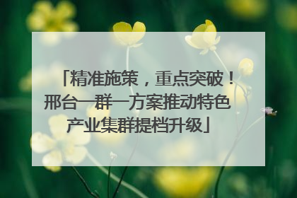 精准施策，重点突破！邢台一群一方案推动特色产业集群提档升级