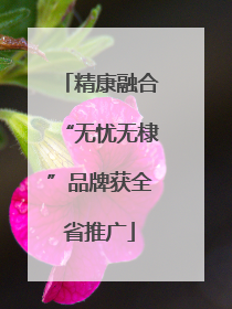 精康融合“无忧无棣”品牌获全省推广