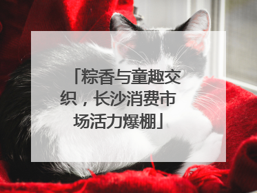 粽香与童趣交织，长沙消费市场活力爆棚