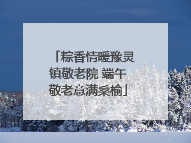 粽香情暖豫灵镇敬老院 端午敬老意满桑榆
